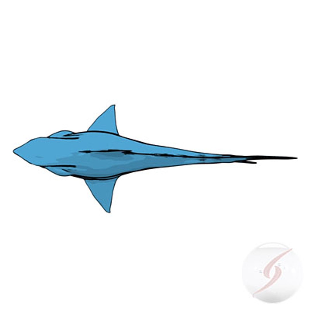 tiburon bruce max https://p.turbosquid.com/ts-thumb/ac/s0FL0j/t4bbbGou/thu_03/jpg/1225791100/1920x1080/fit_q87/794c603b493f2044768ccda1c0539f6d2924145a/thu_03.jpg