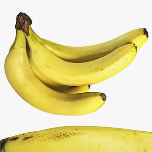 4k bunch of bananas model