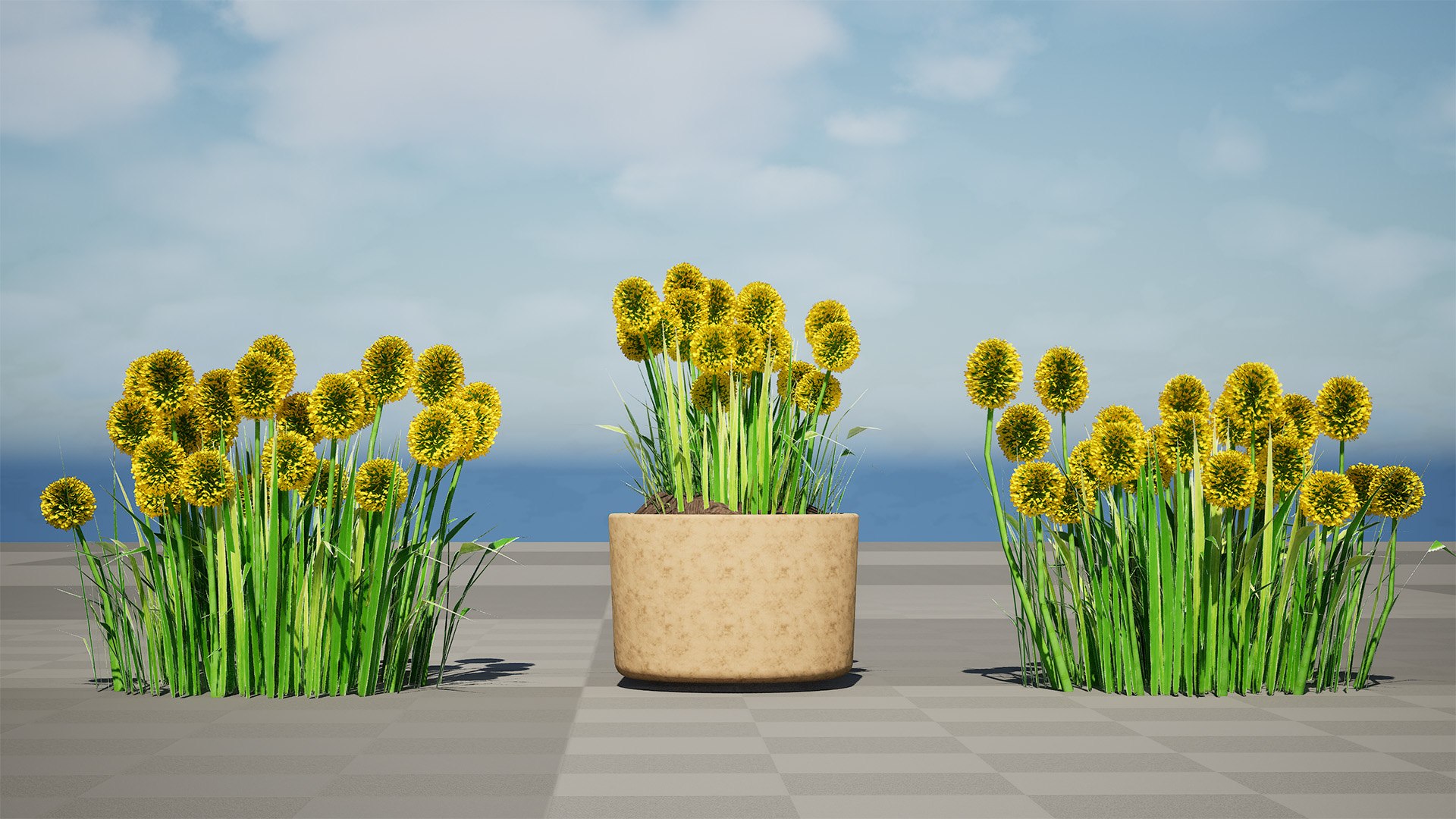 Billy Buttons 3D Flower Asset 3D model https://p.turbosquid.com/ts-thumb/ac/xghUKs/42/highresscreenshot00000/jpg/1742668195/1920x1080/fit_q87/93bf8e2e6da5713d335d3a229b9de0d31beb7b69/highresscreenshot00000.jpg
