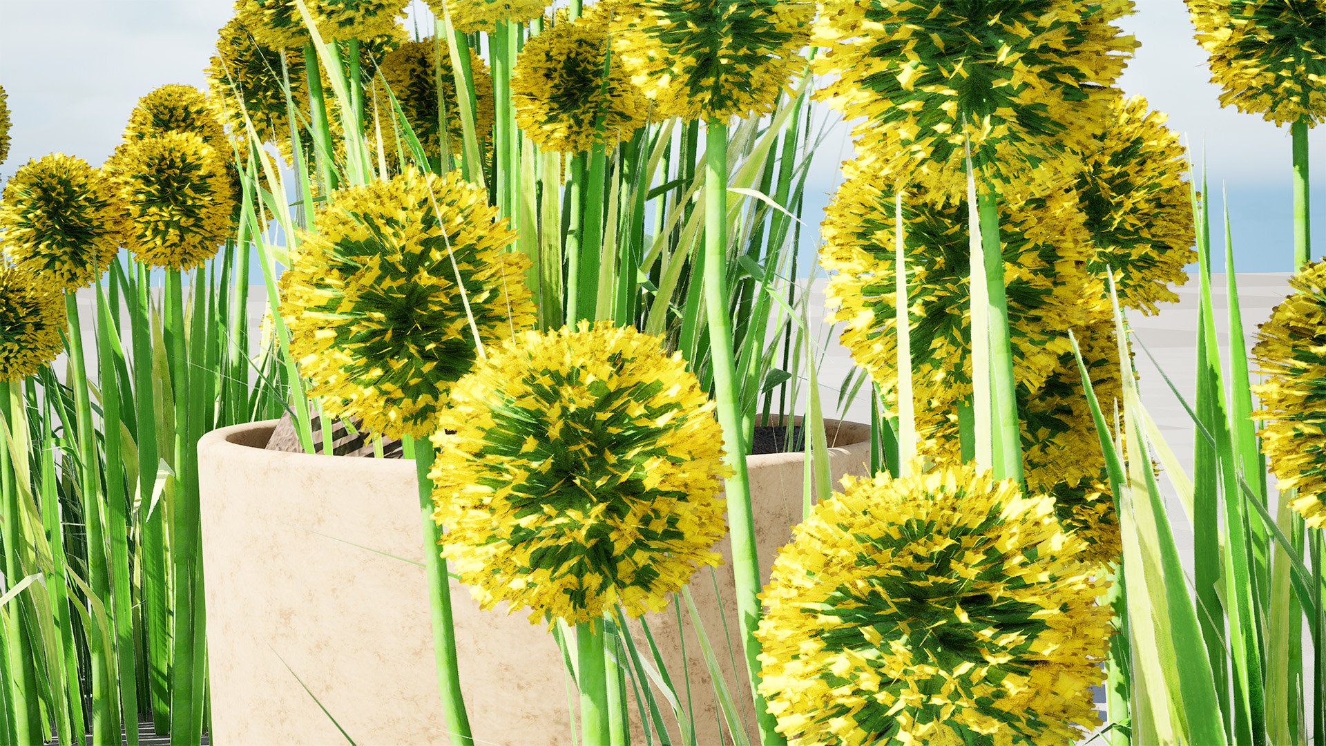 Billy Buttons 3D Flower Asset 3D model https://p.turbosquid.com/ts-thumb/ac/xghUKs/Iw/highresscreenshot00004/jpg/1742668217/1920x1080/fit_q87/cc246744969c9c93f11e70ef89849c1e675cd704/highresscreenshot00004.jpg