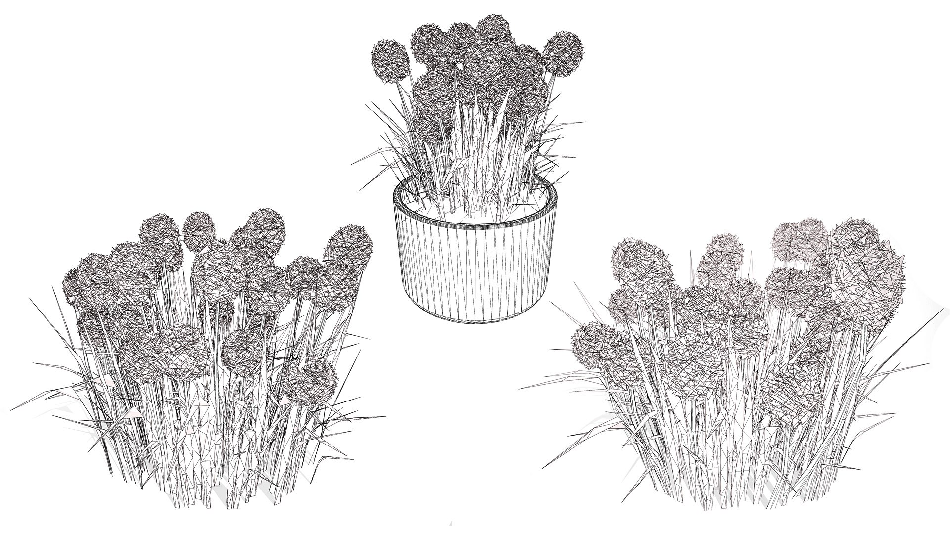 Billy Buttons 3D Flower Asset 3D model https://p.turbosquid.com/ts-thumb/ac/xghUKs/Ln/wirel/jpg/1742668227/1920x1080/fit_q87/56e124cc222001fffd3583561bef4446856b6453/wirel.jpg