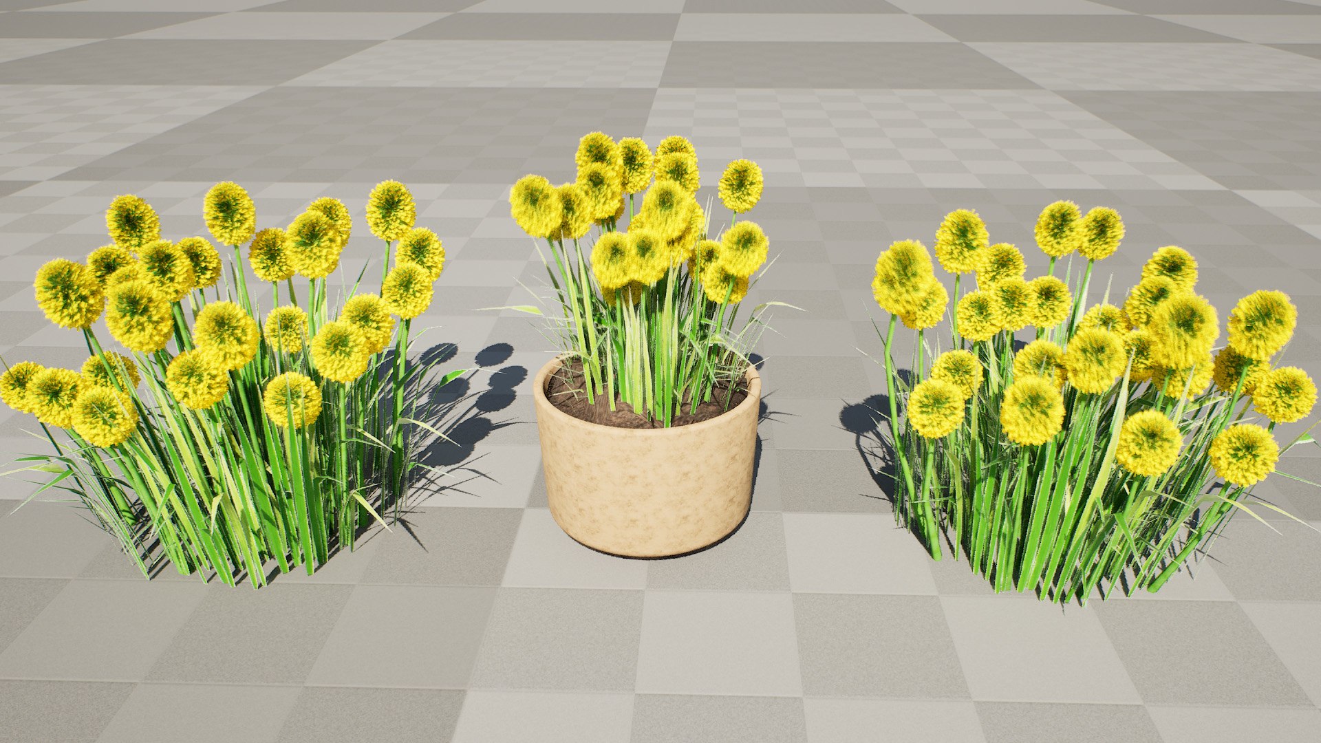 Billy Buttons 3D Flower Asset 3D model https://p.turbosquid.com/ts-thumb/ac/xghUKs/XV/highresscreenshot00001/jpg/1742668204/1920x1080/fit_q87/43d64c8dd45ba00787d91fcf150296a9d8ea3faf/highresscreenshot00001.jpg