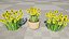 Billy Buttons 3D Flower Asset