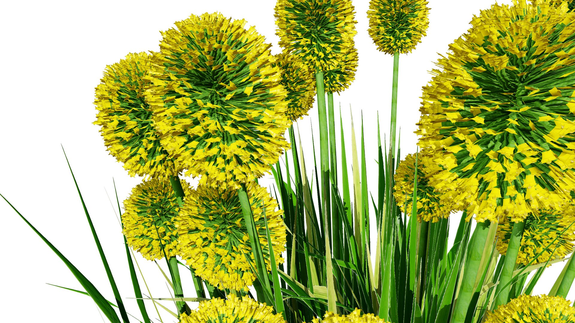 Billy Buttons 3D Flower Asset 3D model https://p.turbosquid.com/ts-thumb/ac/xghUKs/ik/craspedia232l/jpg/1742668182/1920x1080/fit_q87/71838ec3072354a14e00dfbdade53352d66f3245/craspedia232l.jpg