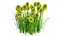 Billy Buttons 3D Flower Asset