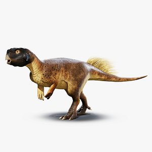3D Psittacosaurus RIG