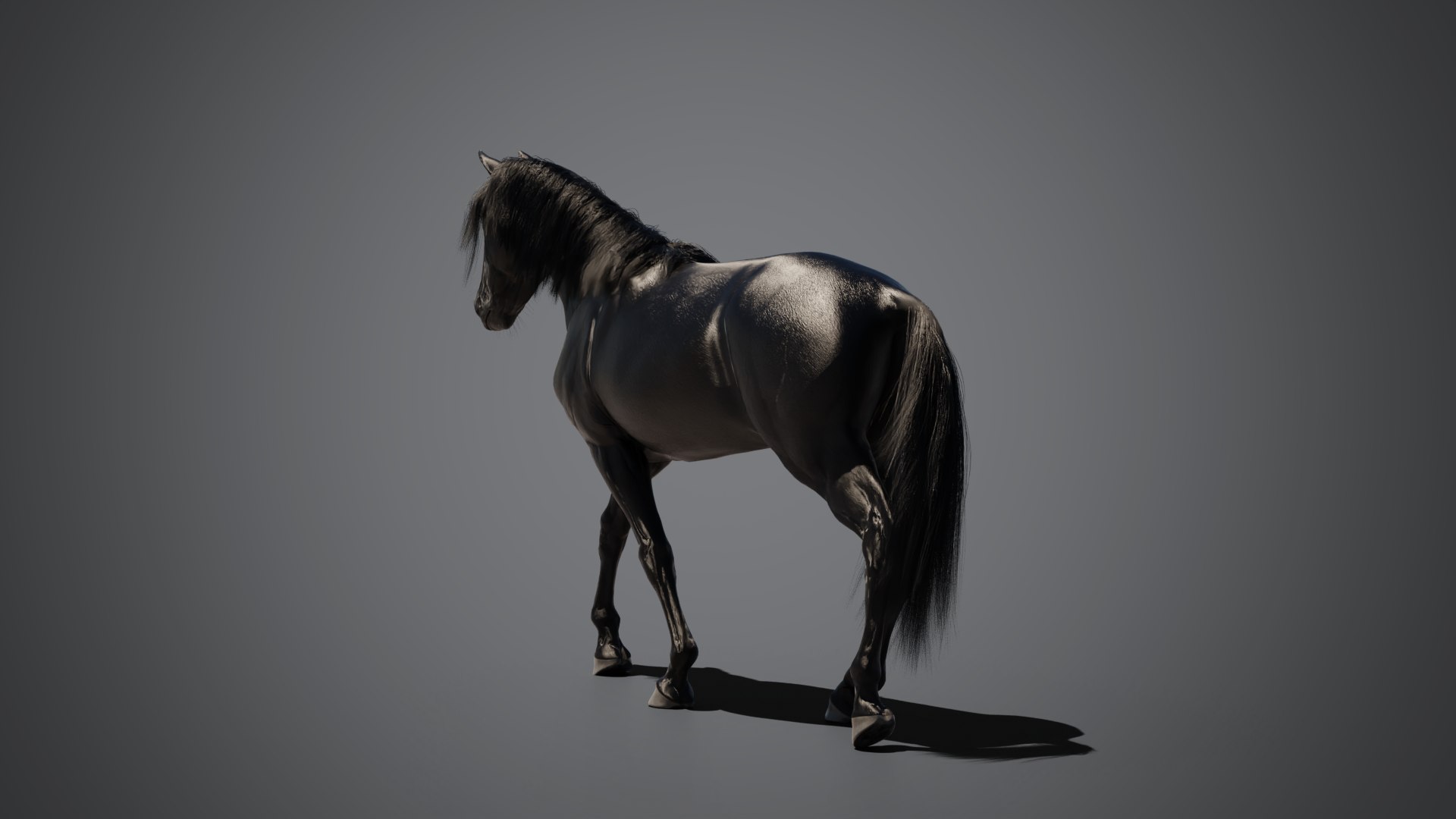 Equine pack 3D model https://p.turbosquid.com/ts-thumb/ad/3WX6Nt/rB/06_compositing/png/1788135371/1920x1080/fit_q87/6f85bb17e89fe73cb3af620739f801cd4c9435c9/06_compositing.jpg