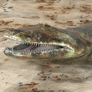 Tiktaalik Rigged for Maya