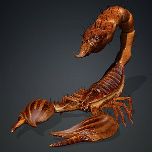 Scorpion-V2