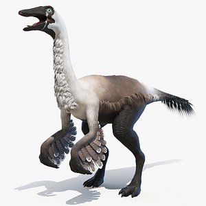 3D gallinimus gallimimus