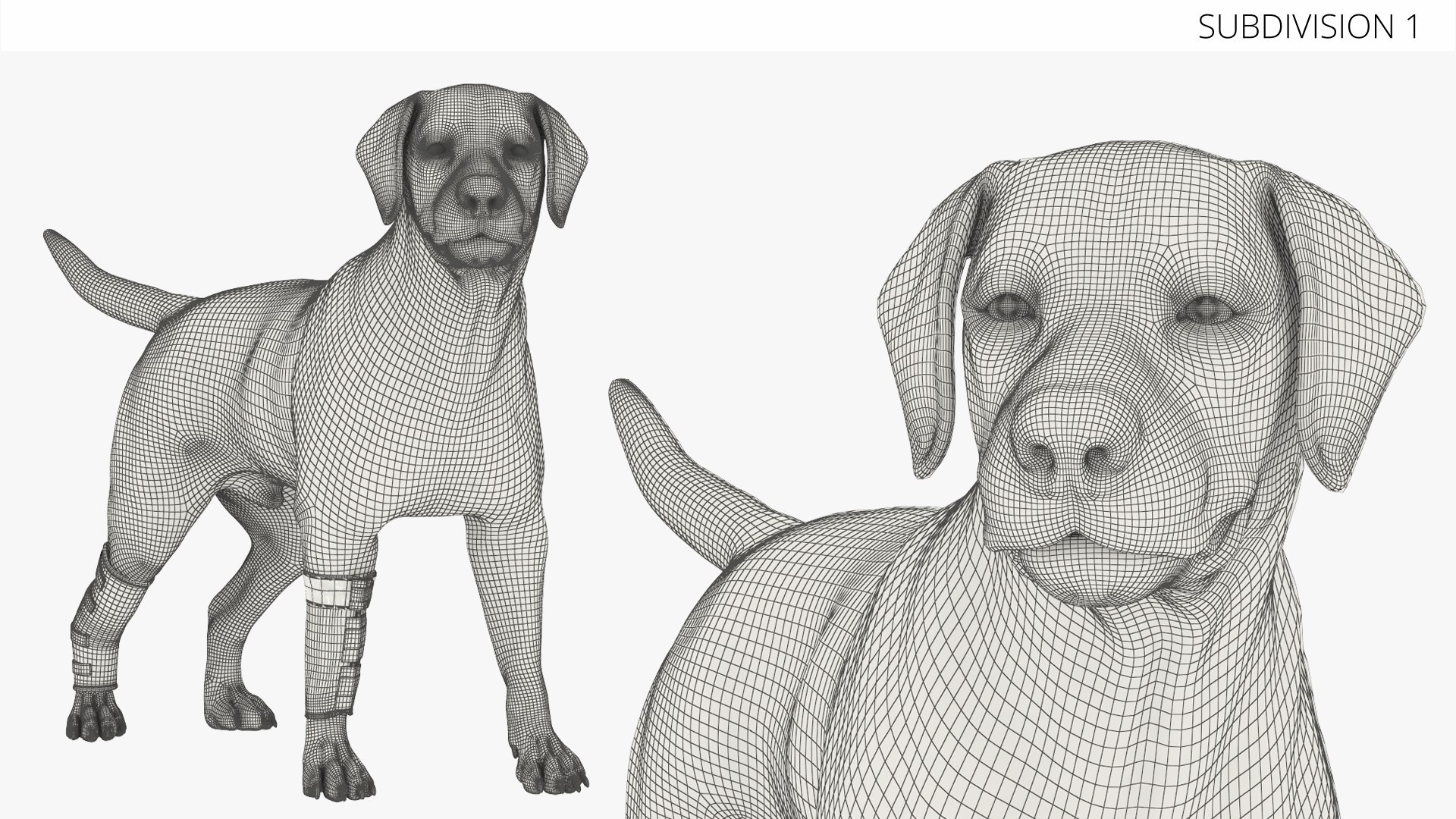 Canine Leg Support Brace Set on Mannequin Fur 3D model https://p.turbosquid.com/ts-thumb/ad/U0jJf7/RC/canine_leg_support_brace_set_on_mannequin_fur_011/jpg/1755038924/1920x1080/fit_q87/2c4cac027531b789dc2cf9976fb321bfde3b9d4c/canine_leg_support_brace_set_on_mannequin_fur_011.jpg