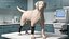 Canine Leg Support Brace Set on Mannequin Fur
