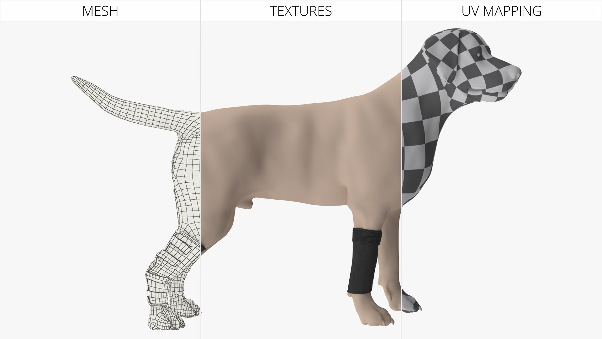 Canine Leg Support Brace Set on Mannequin Fur 3D model https://p.turbosquid.com/ts-thumb/ad/U0jJf7/Uh/canine_leg_support_brace_set_on_mannequin_fur_009/jpg/1755038916/1920x1080/fit_q87/03f18a7af8f2c51ca34adebd143acaa1429d3f1f/canine_leg_support_brace_set_on_mannequin_fur_009.jpg
