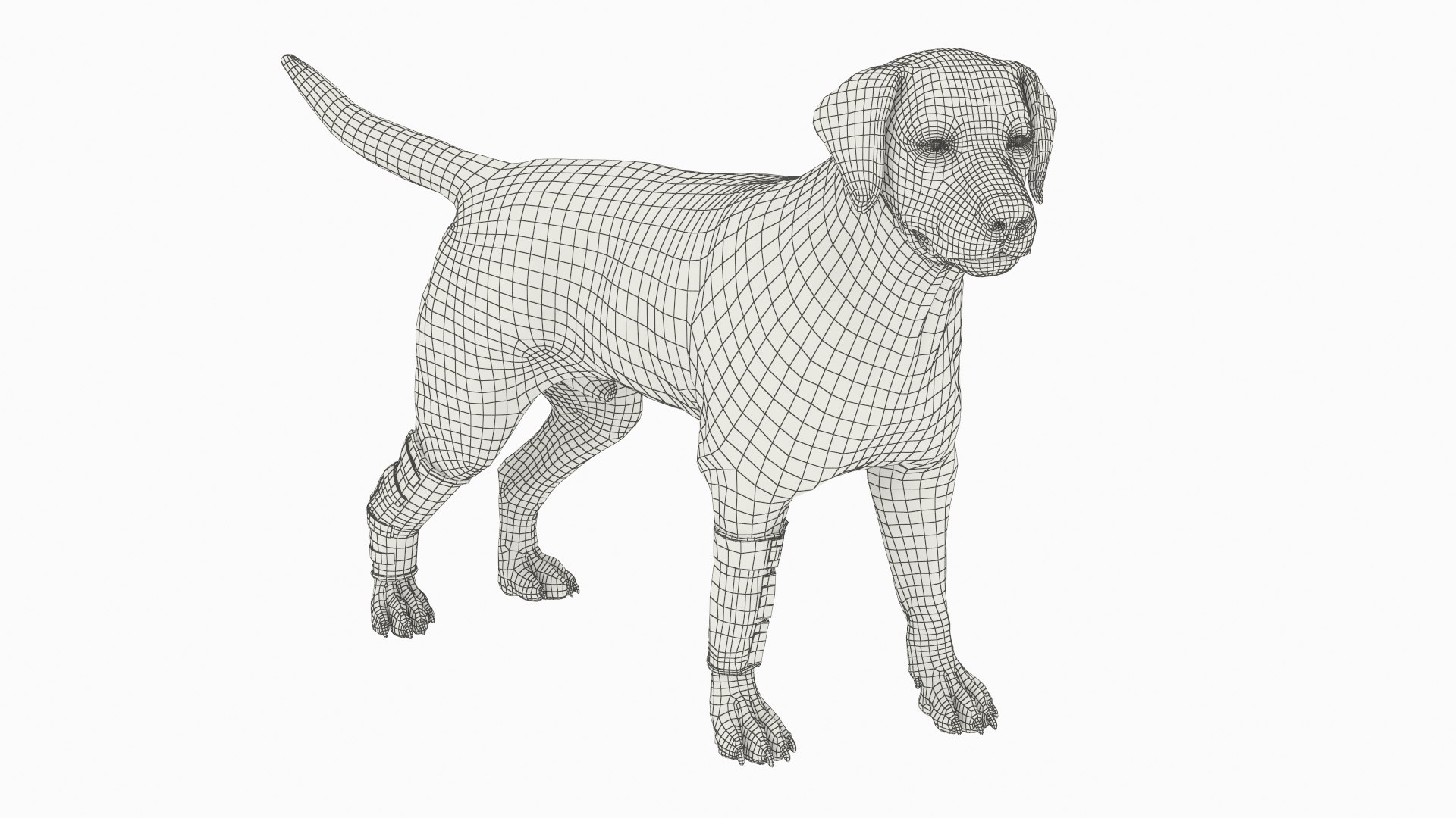 Canine Leg Support Brace Set on Mannequin Fur 3D model https://p.turbosquid.com/ts-thumb/ad/U0jJf7/cg/canine_leg_support_brace_set_on_mannequin_fur_013/jpg/1755038938/1920x1080/fit_q87/5b51daf8d6005af4274b1b9fe13bcffba857a91a/canine_leg_support_brace_set_on_mannequin_fur_013.jpg