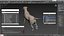 Canine Leg Support Brace Set on Mannequin Fur