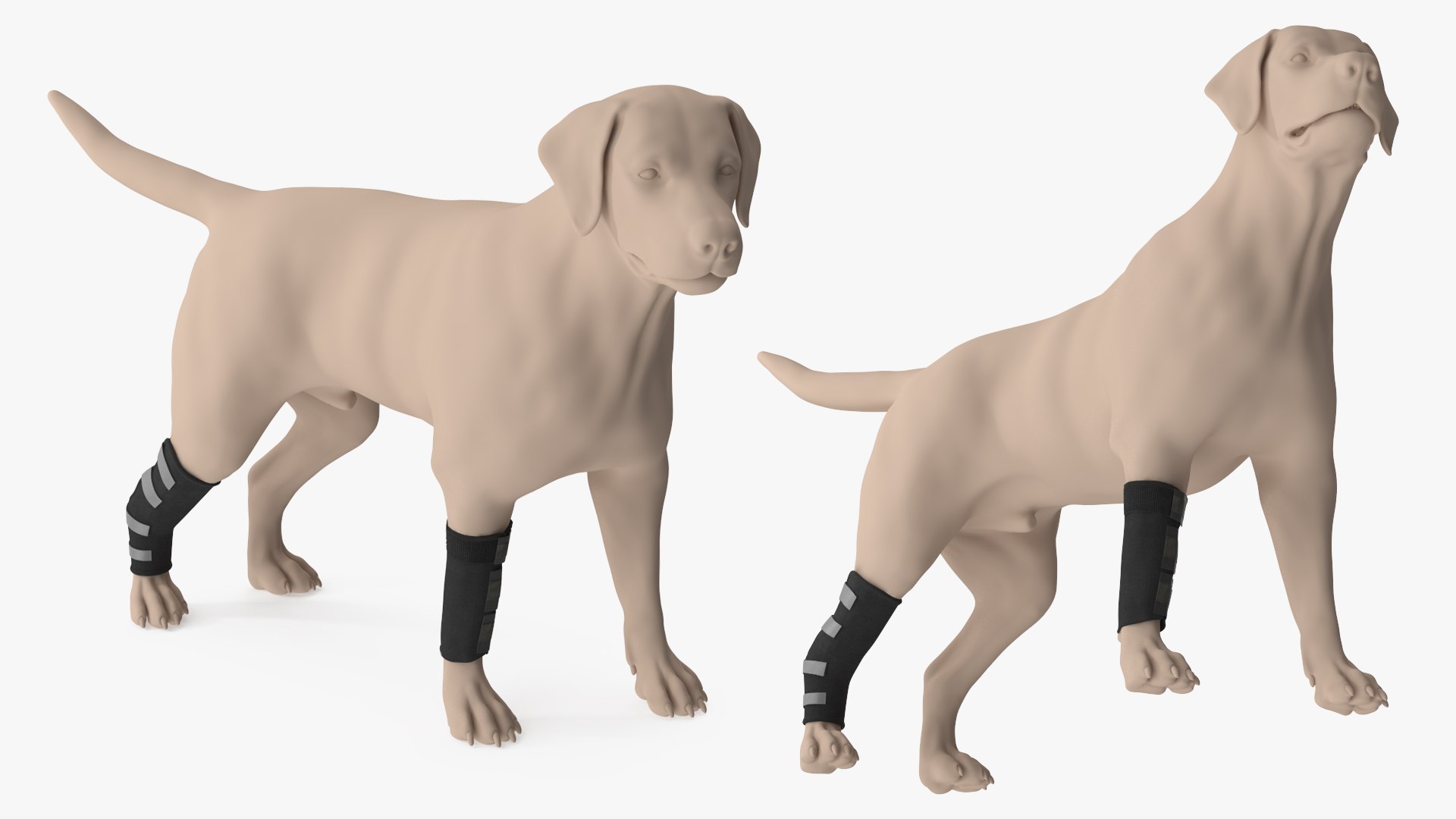 Canine Leg Support Brace Set on Mannequin Fur 3D model https://p.turbosquid.com/ts-thumb/ad/U0jJf7/xD/canine_leg_support_brace_set_on_mannequin_fur_005/jpg/1755038907/1920x1080/fit_q87/e604536609b291eff5d4339d9c534b87301699e9/canine_leg_support_brace_set_on_mannequin_fur_005.jpg