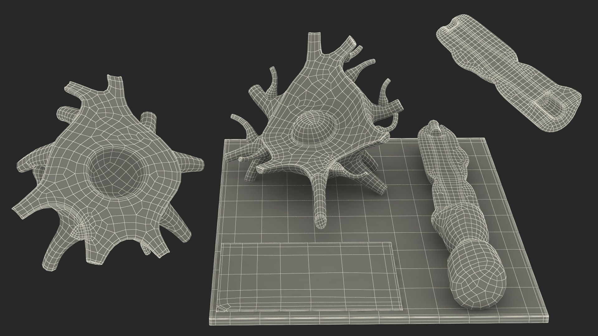 Human Neuron Model on Stand model - TurboSquid 2059401