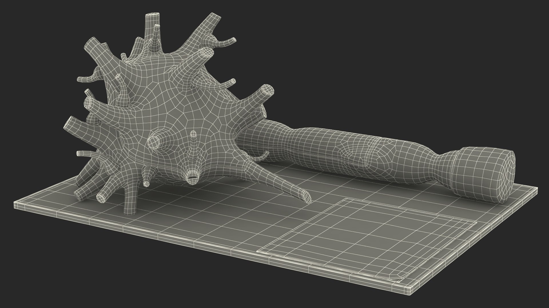 Human Neuron Model on Stand model - TurboSquid 2059401