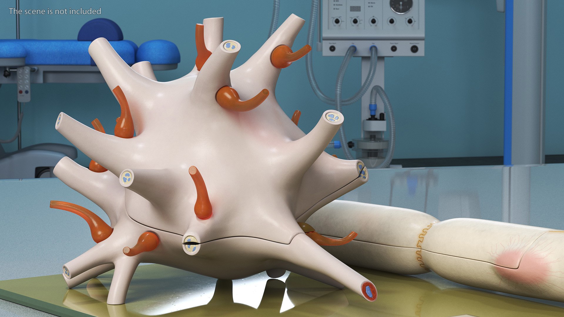Human Neuron Model On Stand Model - TurboSquid 2059401