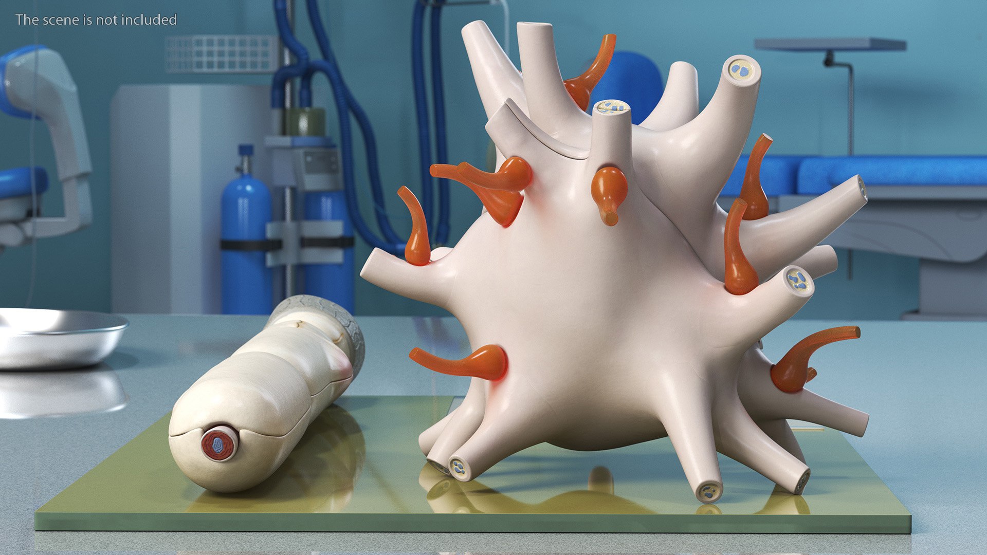 Human Neuron Model On Stand Model - TurboSquid 2059401