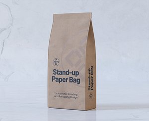 Stand Up Paper Bag 3D