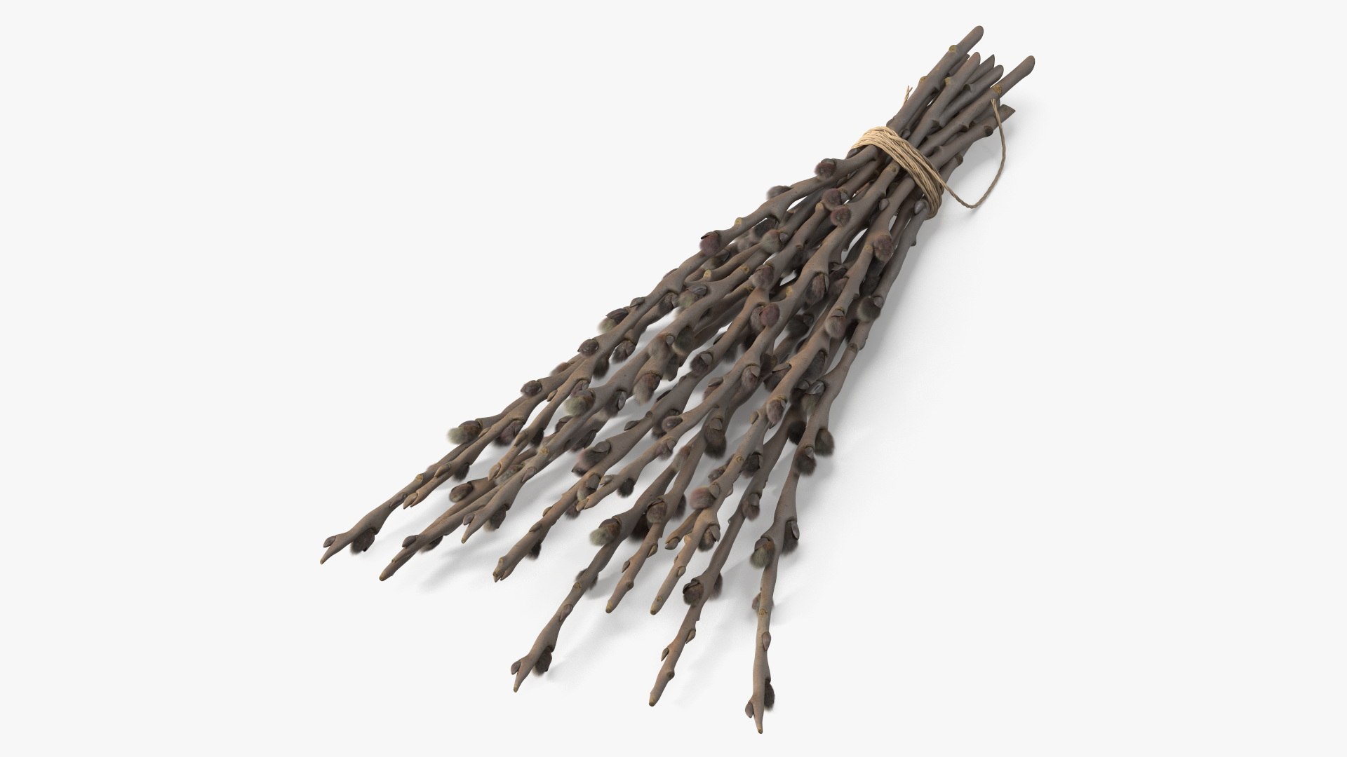 Bunch of Willow Branches Dry Fur 3D model preview