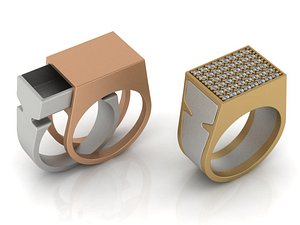 ring 1 3D