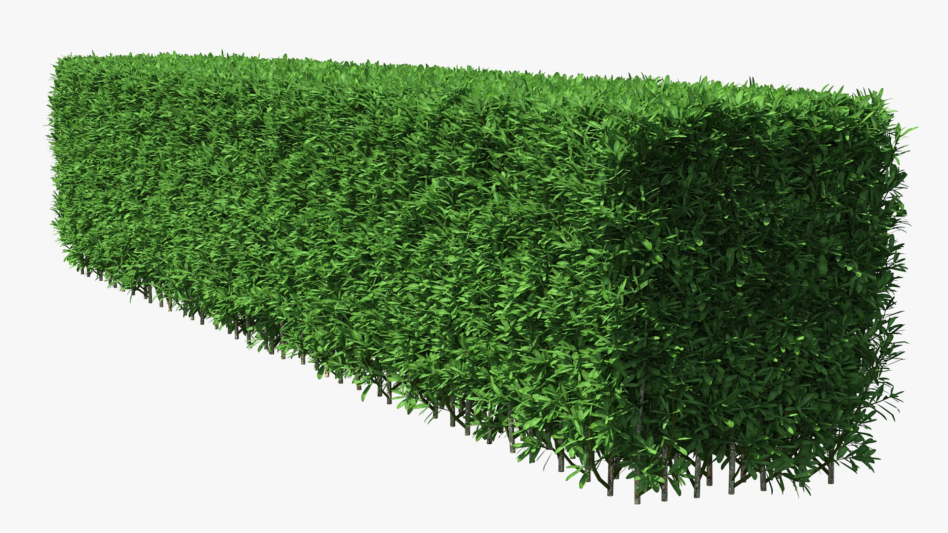 boxwood hedge fence 3D model https://p.turbosquid.com/ts-thumb/ad/xzUMFK/2pVCmKDv/boxwoodhedgefencec4dmodel005/jpg/1591856545/1920x1080/fit_q87/7e94bb83073e25c375cf8790893a3319dcc18e3a/boxwoodhedgefencec4dmodel005.jpg
