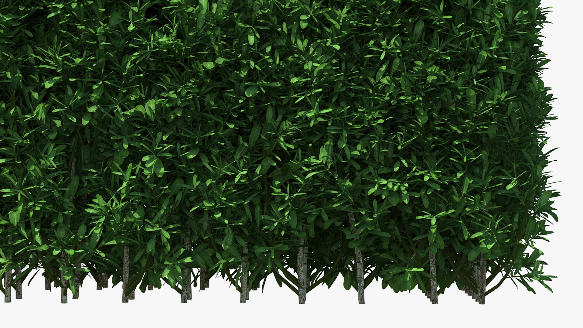 boxwood hedge fence 3D model https://p.turbosquid.com/ts-thumb/ad/xzUMFK/EmHR1hJ8/boxwoodhedgefencec4dmodel014/jpg/1591856633/1920x1080/fit_q87/e53fde68a0a40ad3bd8b68a682490c426771de35/boxwoodhedgefencec4dmodel014.jpg