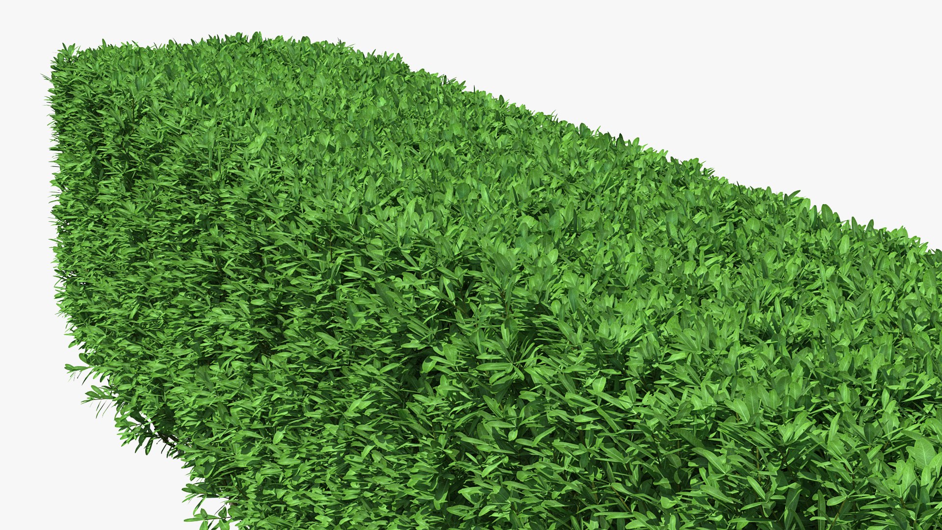 boxwood hedge fence 3D model https://p.turbosquid.com/ts-thumb/ad/xzUMFK/IYffaKNv/boxwoodhedgefencec4dmodel010/jpg/1591856595/1920x1080/fit_q87/2bf7691db099f8377596c2aa55b8eb29ddfa1727/boxwoodhedgefencec4dmodel010.jpg