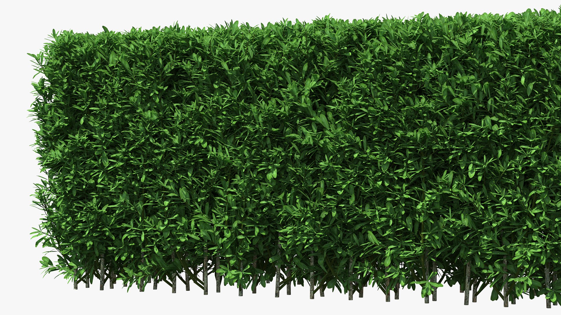 boxwood hedge fence 3D model https://p.turbosquid.com/ts-thumb/ad/xzUMFK/VxUbj32S/boxwoodhedgefencec4dmodel009/jpg/1591856585/1920x1080/fit_q87/e5aa79dbe7ebce2a5e6da831c98d8fe7c3e79b8f/boxwoodhedgefencec4dmodel009.jpg