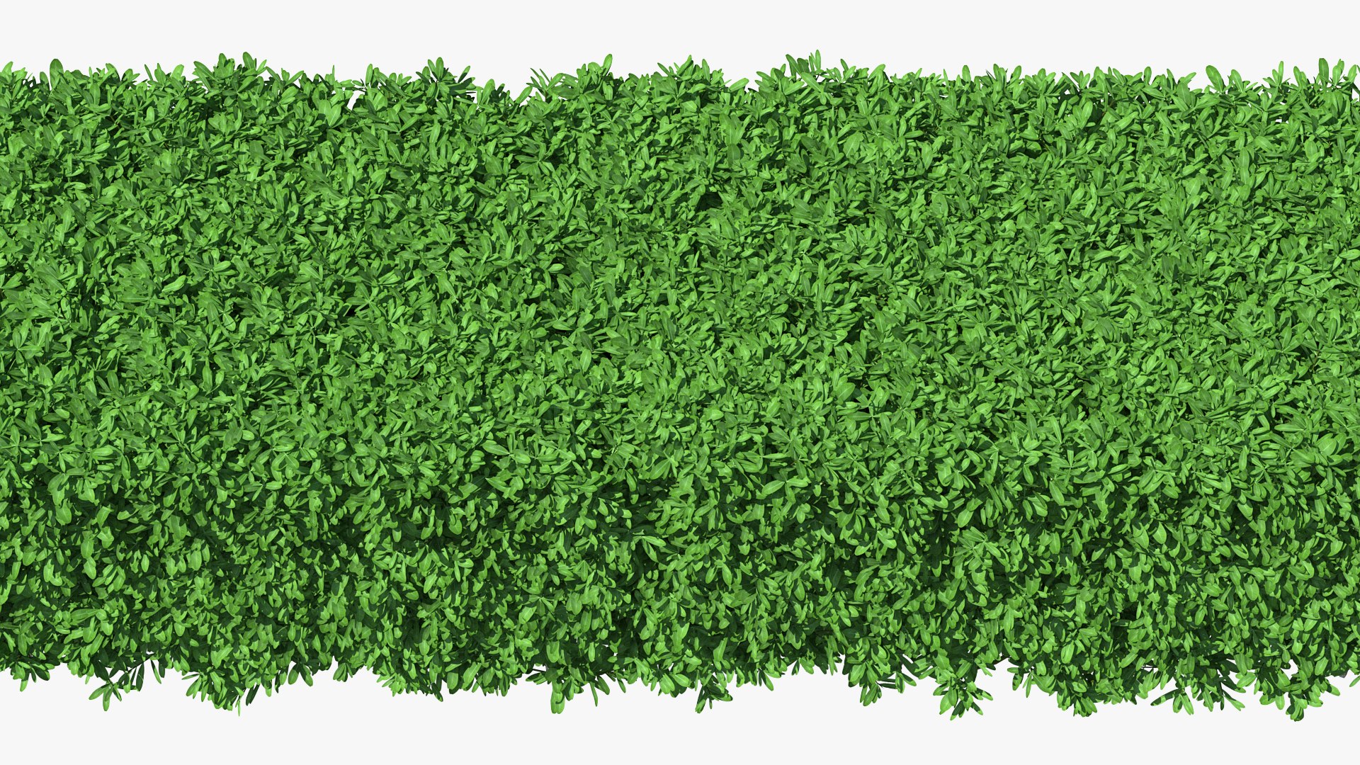 boxwood hedge fence 3D model https://p.turbosquid.com/ts-thumb/ad/xzUMFK/WalLQfCV/boxwoodhedgefencec4dmodel008/jpg/1591856575/1920x1080/fit_q87/aa21785996779460b14769d8a1412051f9f83525/boxwoodhedgefencec4dmodel008.jpg