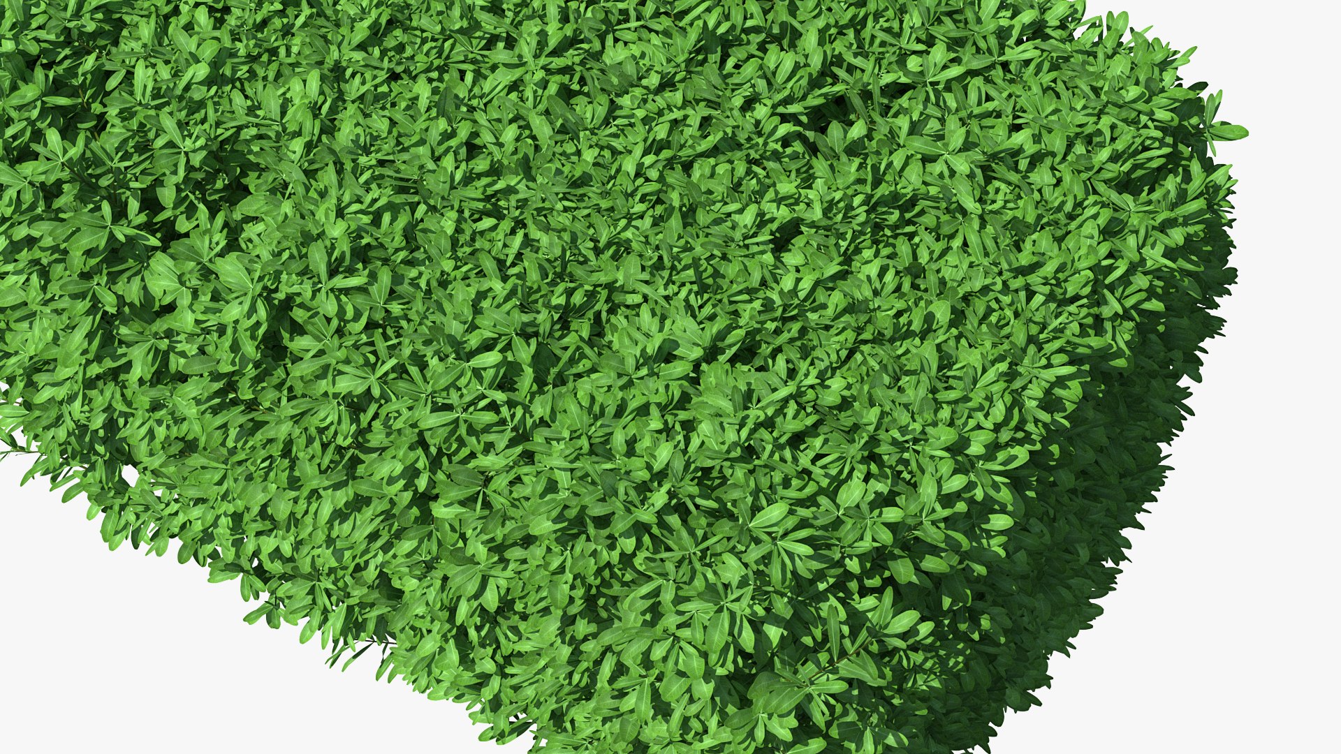 boxwood hedge fence 3D model https://p.turbosquid.com/ts-thumb/ad/xzUMFK/iqK8iOr0/boxwoodhedgefencec4dmodel011/jpg/1591856605/1920x1080/fit_q87/ef5e8ee9671de99c4329d651fd7b9006ae9ab0ce/boxwoodhedgefencec4dmodel011.jpg