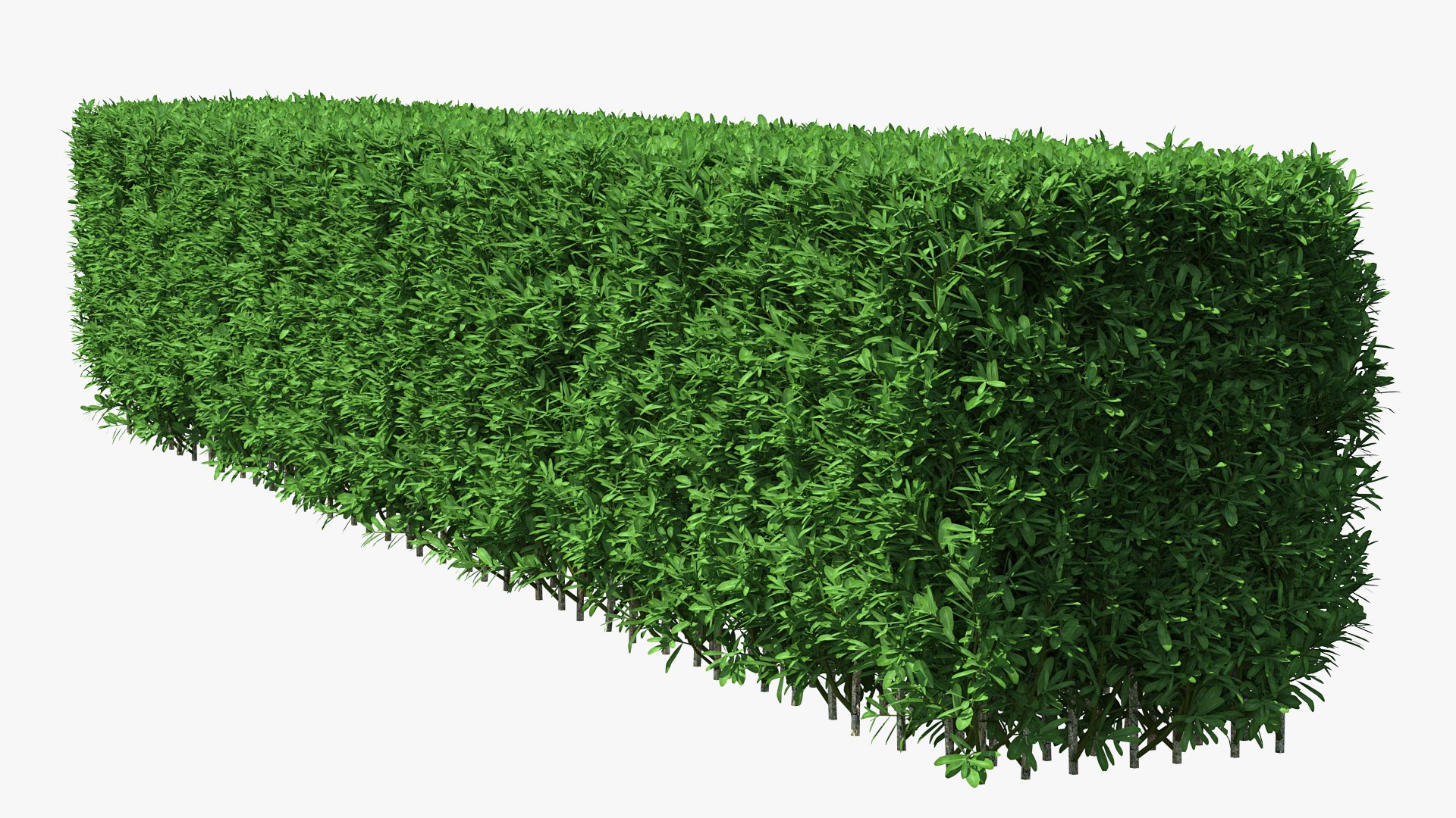 boxwood hedge fence 3D model https://p.turbosquid.com/ts-thumb/ad/xzUMFK/lEW1q2e9/boxwoodhedgefencec4dmodel004/jpg/1591856536/1920x1080/fit_q87/a224ad17cf7fe7d8dfb0f93a0db559a2c96dd9b2/boxwoodhedgefencec4dmodel004.jpg