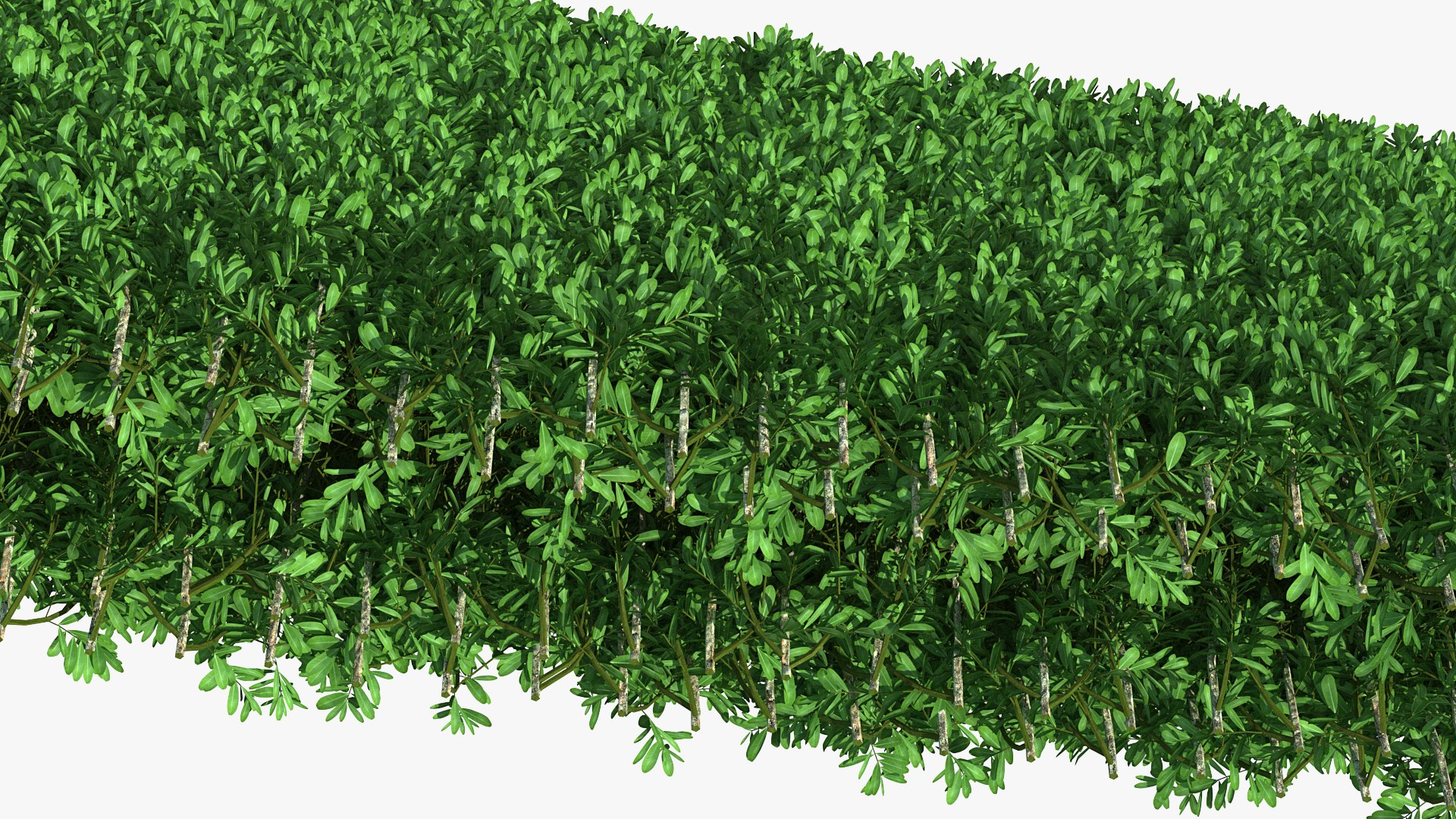 boxwood hedge fence 3D model https://p.turbosquid.com/ts-thumb/ad/xzUMFK/mZc9R69c/boxwoodhedgefencec4dmodel012/jpg/1591856615/1920x1080/fit_q87/9011e5b7e6596efb81082dfd10cab2fa0c725a67/boxwoodhedgefencec4dmodel012.jpg
