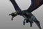 Lowpoly Drache