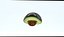 Avocado icon 3D