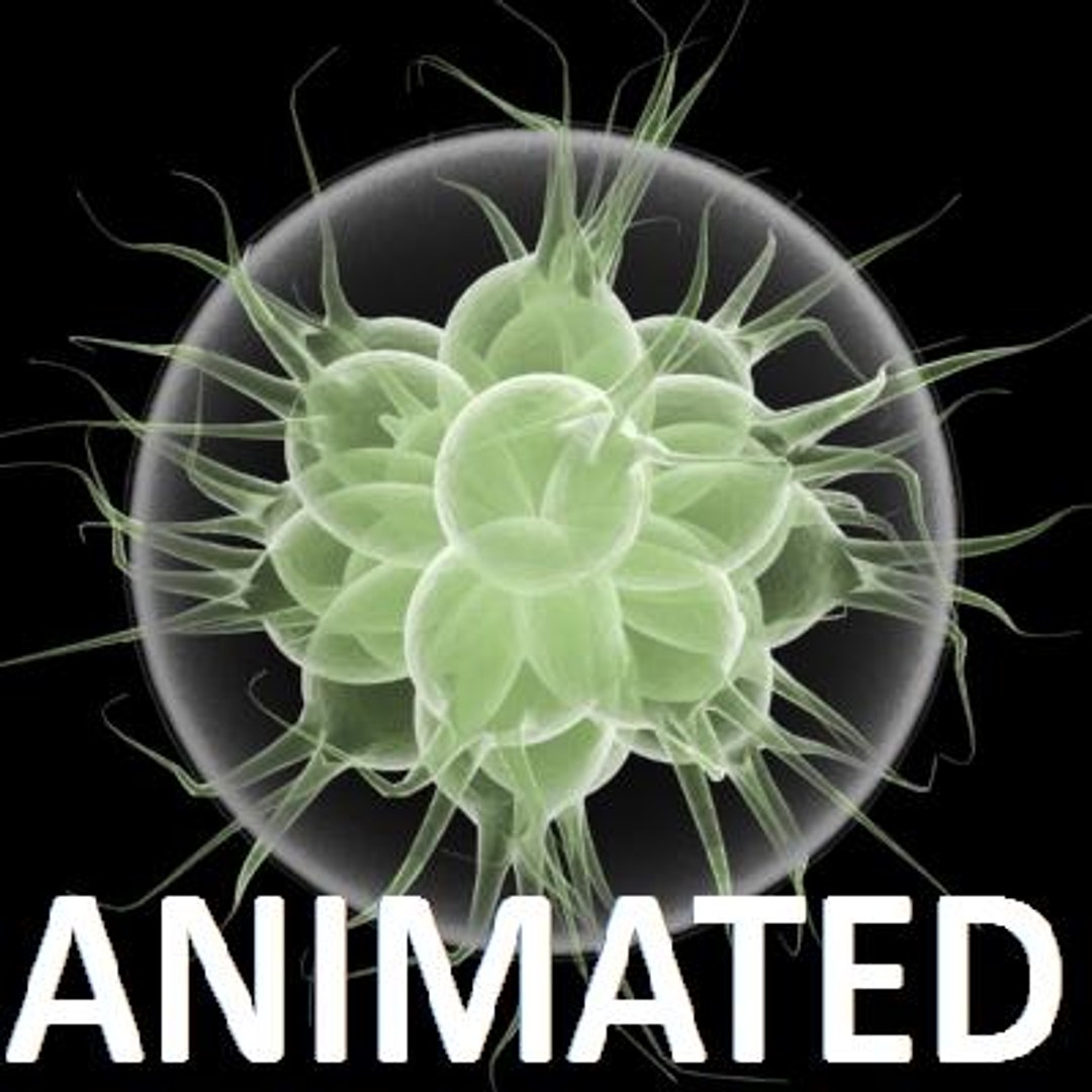 3dsmax algea fandorina https://p.turbosquid.com/ts-thumb/ae/84GPtq/N7KbJebV/4/jpg/1187030501/1920x1080/fit_q87/ca0f0e4f9a5b88199c3a0333158022253c925c0d/4.jpg