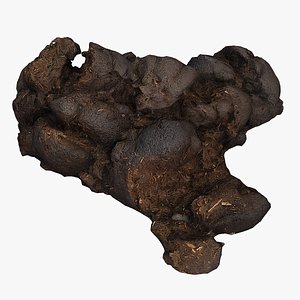 Horse Droppings 02