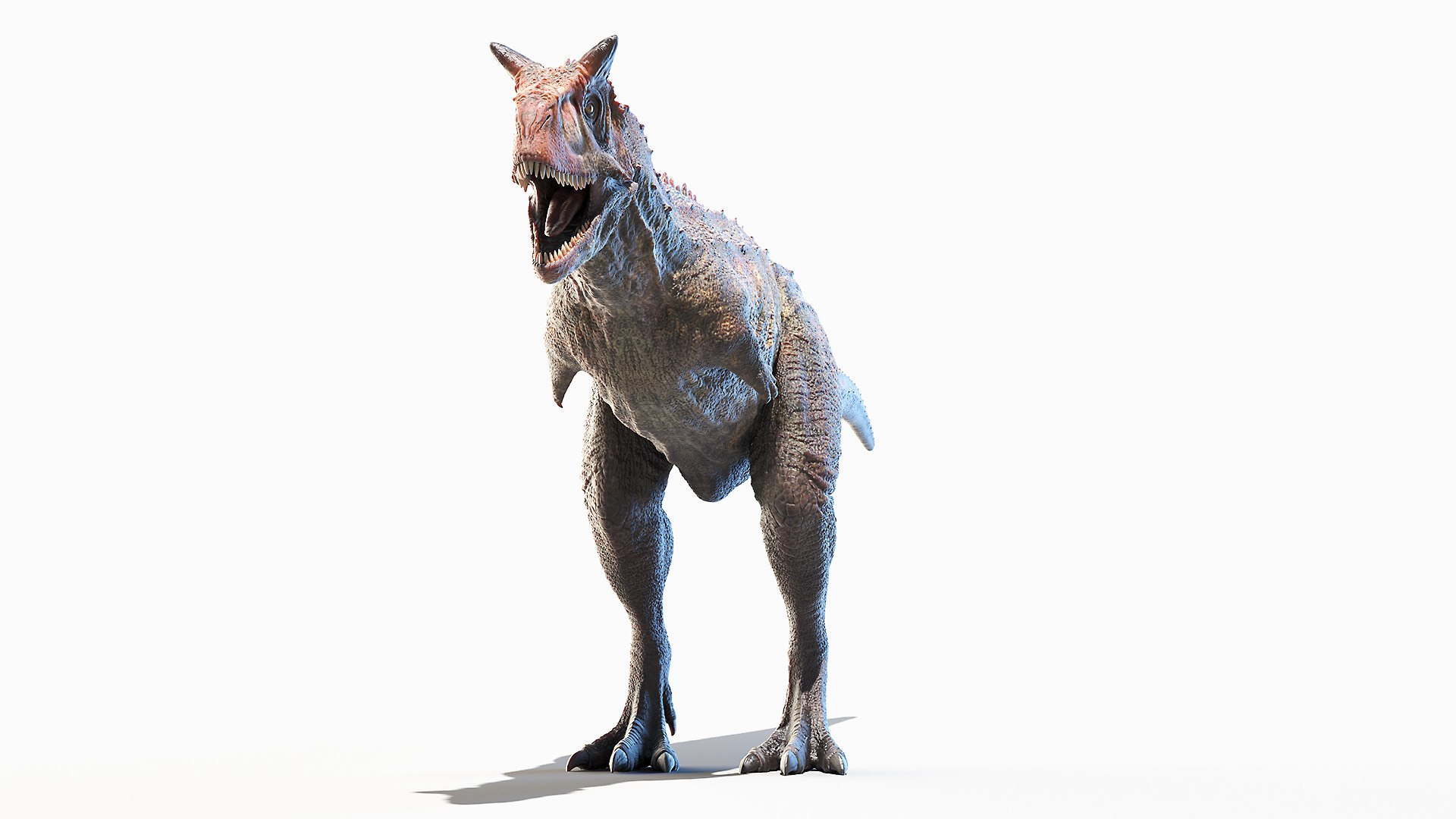 carnotaurus 3D model https://p.turbosquid.com/ts-thumb/ae/CWPynN/uieKGFYf/carnotaurus0006/jpg/1606396199/1920x1080/fit_q87/5d97e147479a727f8519ab95f1414c547def8e9b/carnotaurus0006.jpg