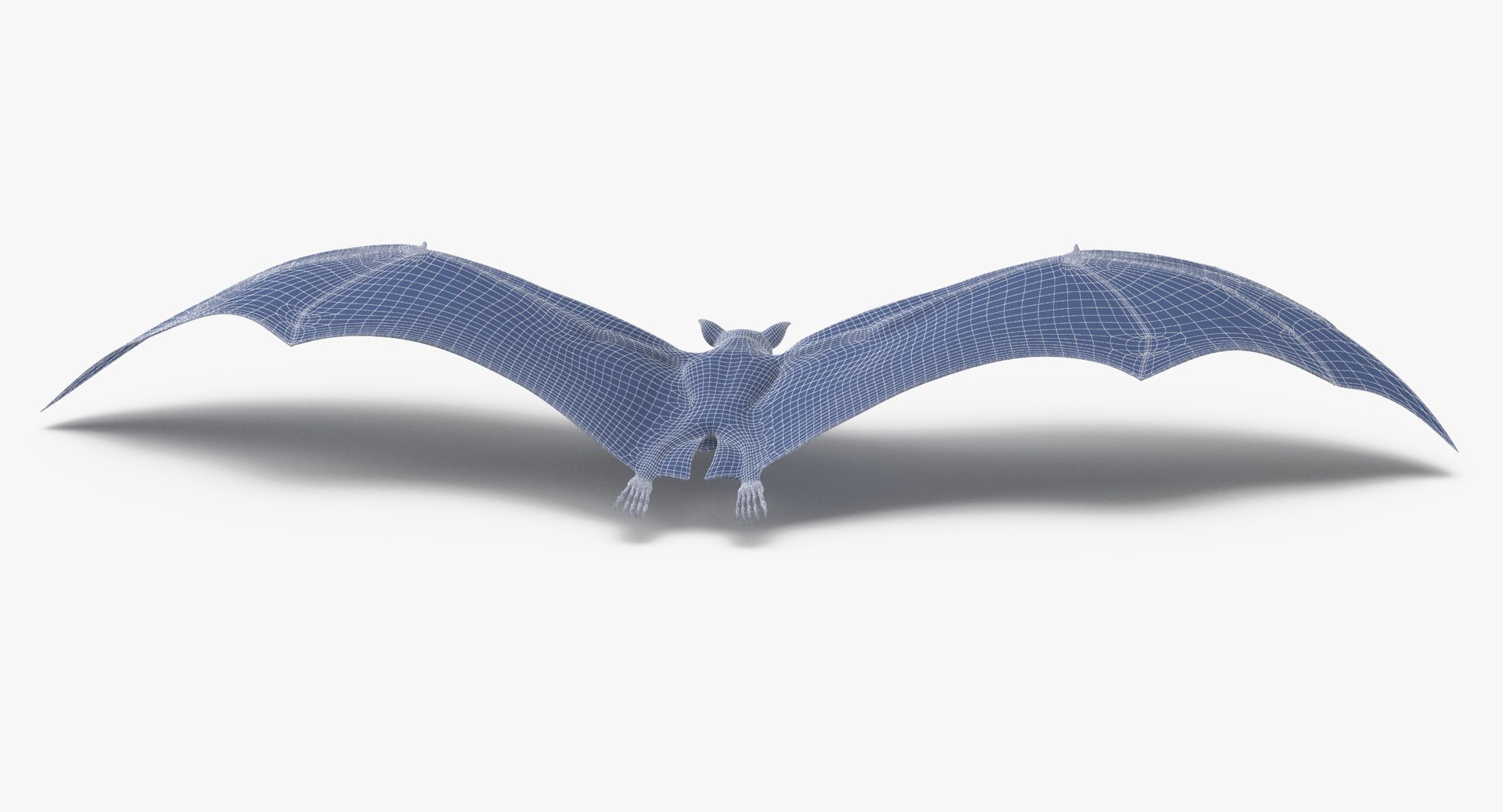 3d fruit bat flying https://p.turbosquid.com/ts-thumb/ae/f58HzF/AZYos4Hr/fruit_bat_flying_pose_wireframe_0006/jpg/1485617306/1920x1080/fit_q87/b94d330cd54f4a84562c3f56fc6ef6e91822ea92/fruit_bat_flying_pose_wireframe_0006.jpg