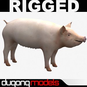 3d model dugm02 pig