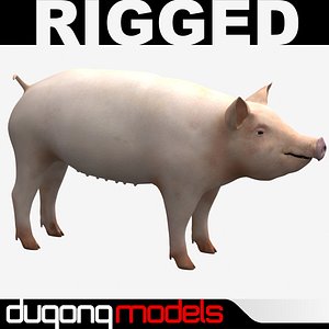 Pig