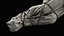 Covered Corpse 13 a 3D model