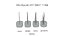 Follicular Unit Graft Types