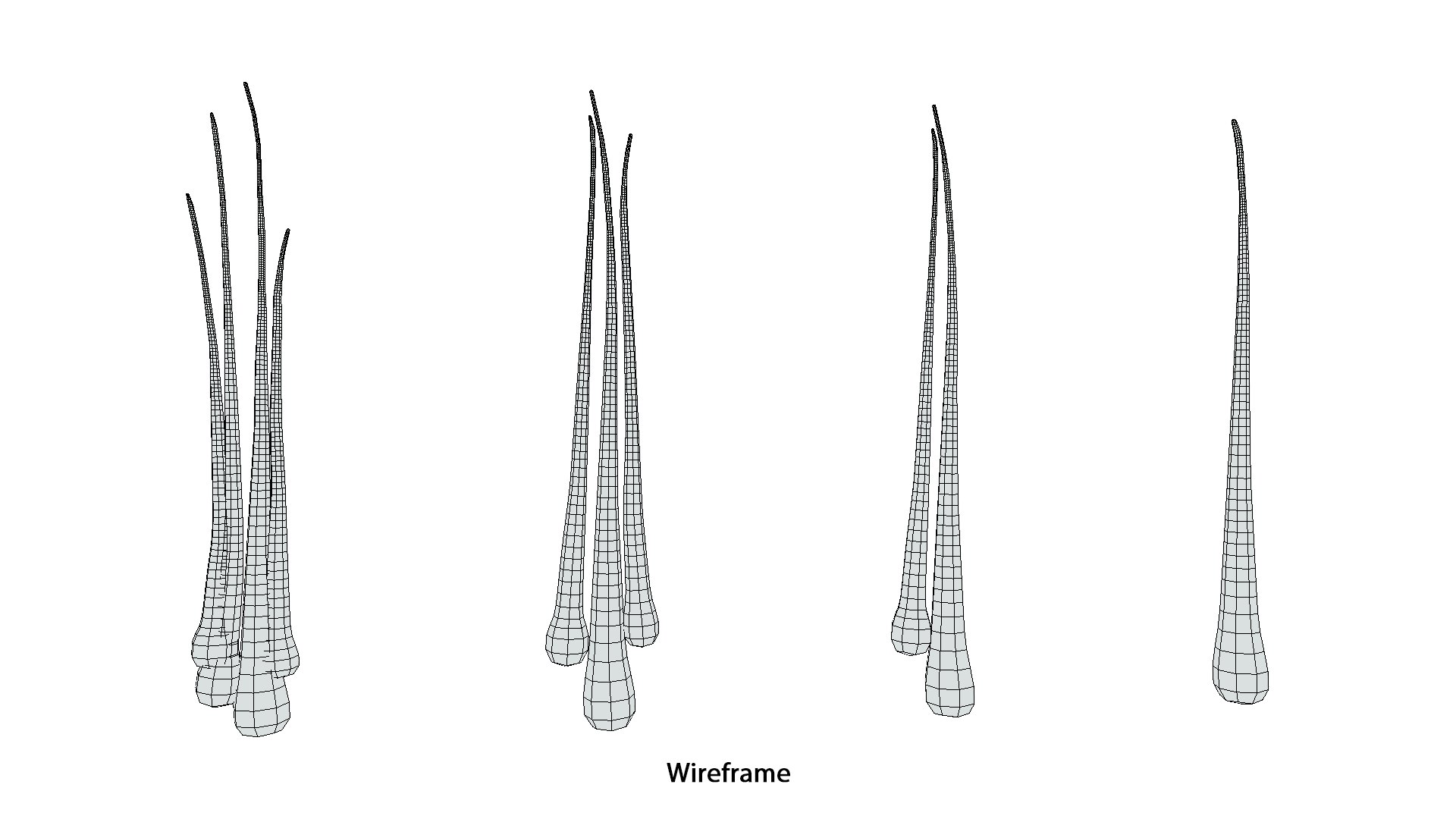 3D Follicular Unit Graft Types model https://p.turbosquid.com/ts-thumb/af/6uCXiA/Ia/follicular_unit_graft_types_wireframe_1/png/1766048198/1920x1080/fit_q87/7b1b2f96171187d551807ff0ca48136cb35d629b/follicular_unit_graft_types_wireframe_1.jpg