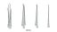 Follicular Unit Graft Types
