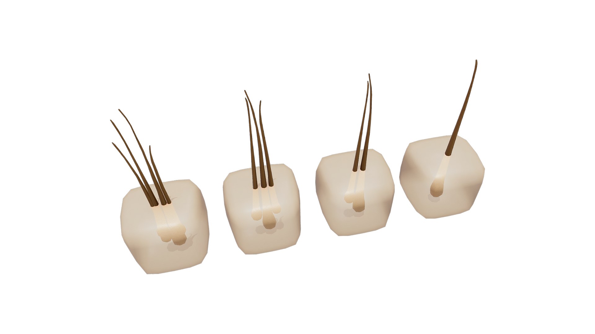 3D Follicular Unit Graft Types model https://p.turbosquid.com/ts-thumb/af/6uCXiA/X1/follicular_unit_graft_types_render_3/png/1766048206/1920x1080/fit_q87/2e7f2f8013e739f400891dd64e17d95f812c8e2d/follicular_unit_graft_types_render_3.jpg