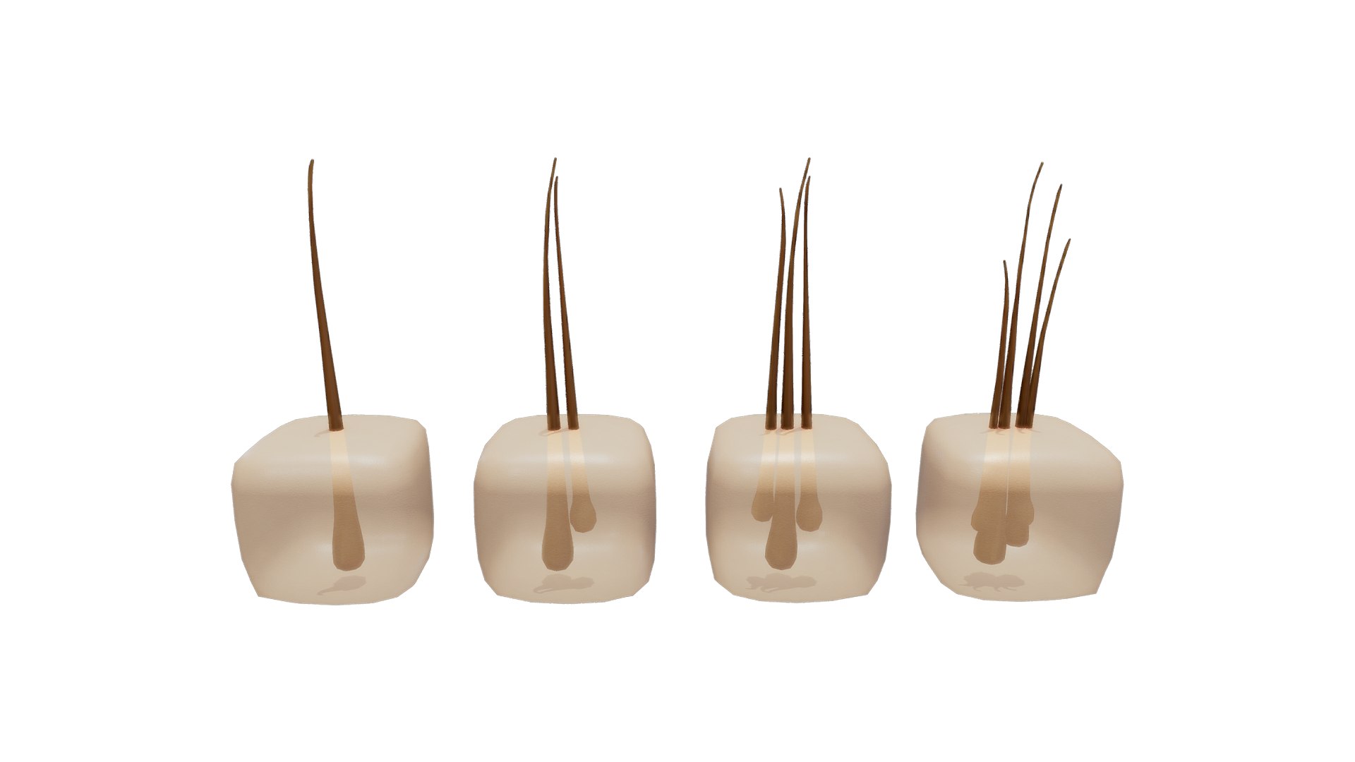 3D Follicular Unit Graft Types model https://p.turbosquid.com/ts-thumb/af/6uCXiA/cF/follicular_unit_graft_types_render_2/png/1766048205/1920x1080/fit_q87/41de2238d987076b2626e845cf0b8bdedd0408b8/follicular_unit_graft_types_render_2.jpg