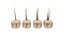 Follicular Unit Graft Types